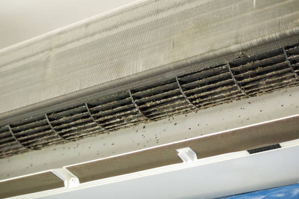 Best Dryer Vent Cleaning Services  in Walhalla, SC